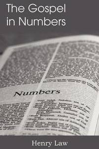 bokomslag The Gospel in Numbers