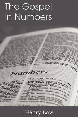 bokomslag The Gospel in Numbers