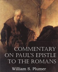 bokomslag Commentary on Paul's Epistle to the Romans