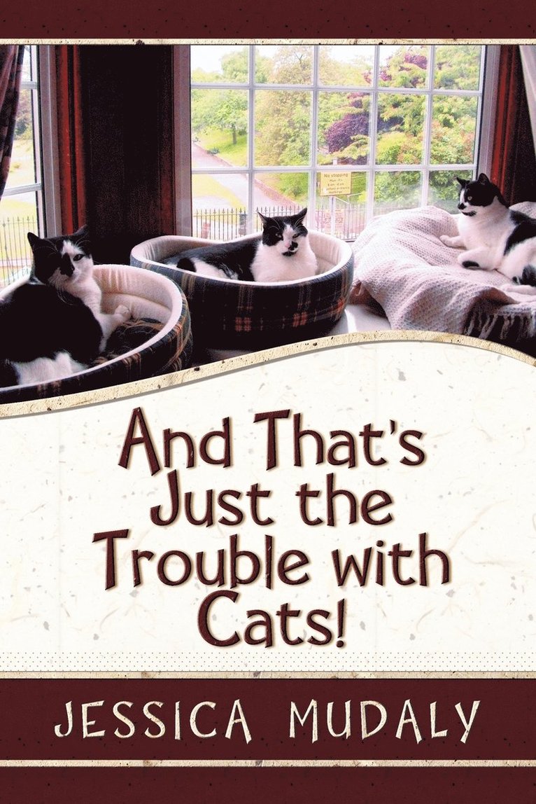 And That's Just the Trouble with Cats! 1