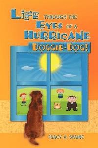 bokomslag Life Through the Eyes of a Hurricane