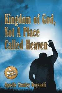 bokomslag Kingdom of God, Not a Place Called Heaven