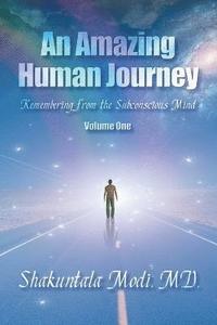 bokomslag Amazing Human Journey