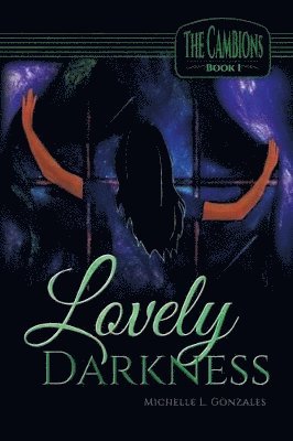 bokomslag Lovely Darkness