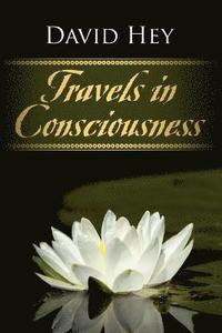 bokomslag Travels in Consciousness