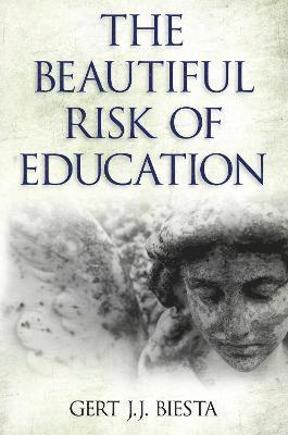 Beautiful Risk of Education 1