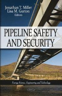 bokomslag Pipeline Safety & Security