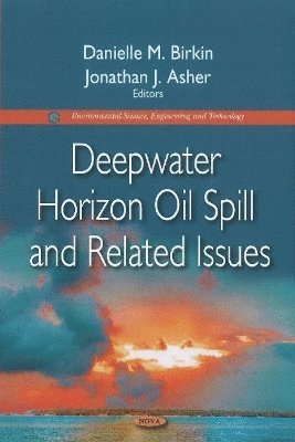 bokomslag Deepwater Horizon Oil Spill & Related Issues