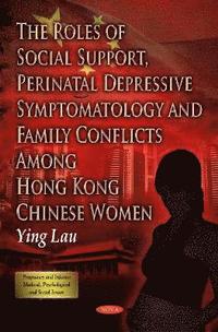 bokomslag Roles of Social Support, Perinatal Depressive Symptomatology & Family Conflicts Among Hong Kong Chinese Women