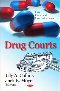 bokomslag Drug Courts
