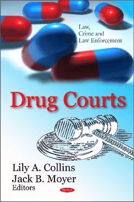 bokomslag Drug Courts