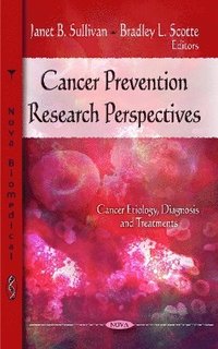 bokomslag Cancer Prevention Research Perspectives