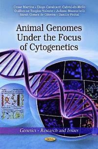 bokomslag Animal Genomes Under the Focus of Cytogenetics