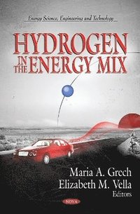bokomslag Hydrogen in the Energy Mix