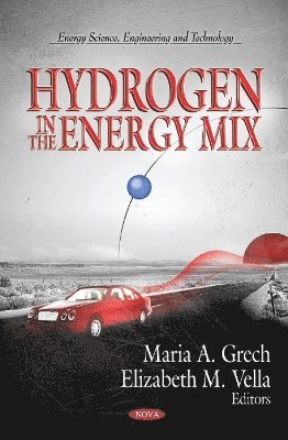 bokomslag Hydrogen in the Energy Mix