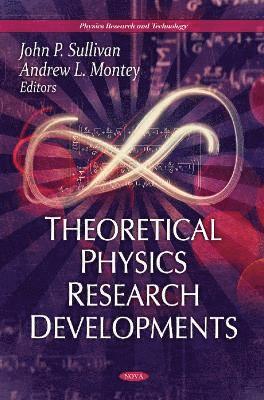 bokomslag Theoretical Physics Research Developments