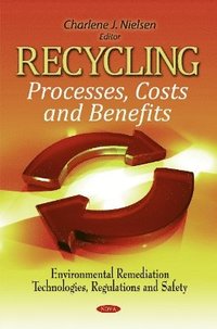 bokomslag Recycling