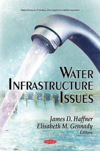 bokomslag Water Infrastructure Issues