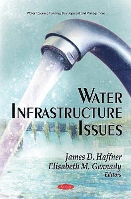 bokomslag Water Infrastructure Issues