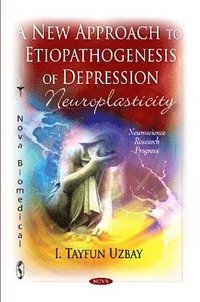 bokomslag New Approach to Etiopathogenezis of Depression