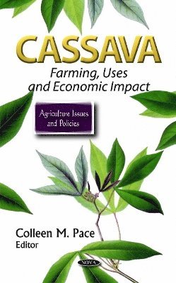 bokomslag Cassava