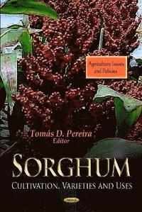 bokomslag Sorghum