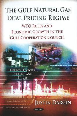bokomslag Role of Energy & Development in Emerging Regions
