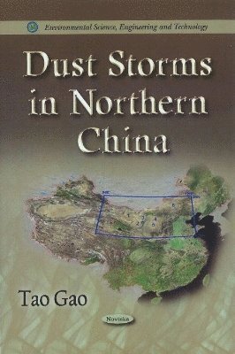 bokomslag Dust Storms in Northern China