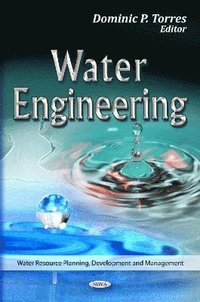 bokomslag Water Engineering