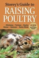 bokomslag Storey's Guide to Raising Poultry