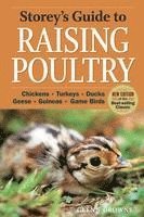bokomslag Storey's Guide to Raising Poultry, 4th Edition: Chickens, Turkeys, Ducks, Geese, Guineas, Game Birds