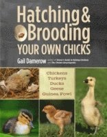 Gail Damerow - Hatching & Brooding Your Own Chicks, Häftad