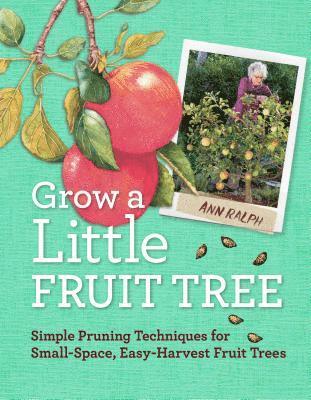 Grow a Little Fruit Tree 1