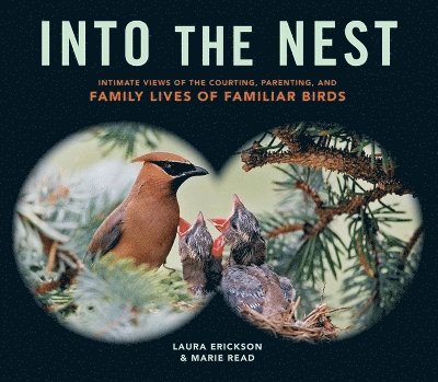 Into the Nest 1