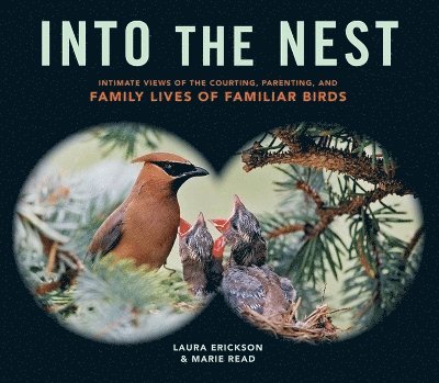 Laura Erickson, Marie Read - Into the Nest, Häftad