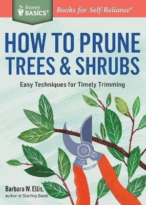 How to Prune Trees & Shrubs 1