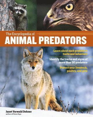 bokomslag Encyclopedia of Animal Predators