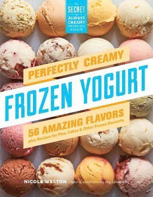 Perfectly Creamy Frozen Yogurt 1