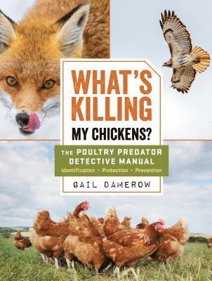 Gail Damerow - What's Killing My Chickens?, Häftad
