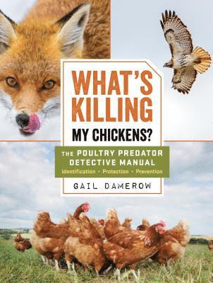 What's Killing My Chickens? 1