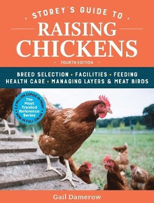Gail Damerow - Storey's Guide to Raising Chickens, 4th Edition, Häftad