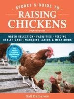 bokomslag Storey's Guide to Raising Chickens, 4th Edition: Breed Selection, Facilities, Feeding, Health Care, Managing Layers & Meat Birds