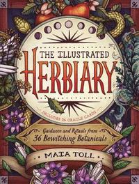 bokomslag The Illustrated Herbiary