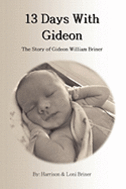 bokomslag 13 Days With Gideon