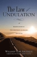 bokomslag The Law of Undulation