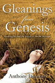 Anthony Iannucci - Gleanings from Genesis, Häftad