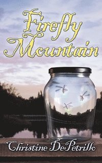bokomslag Firefly Mountain