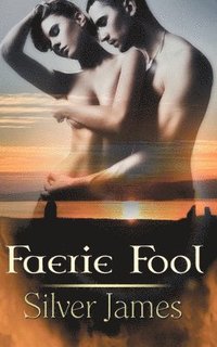 bokomslag Faerie Fool