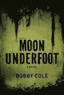 bokomslag Moon Underfoot