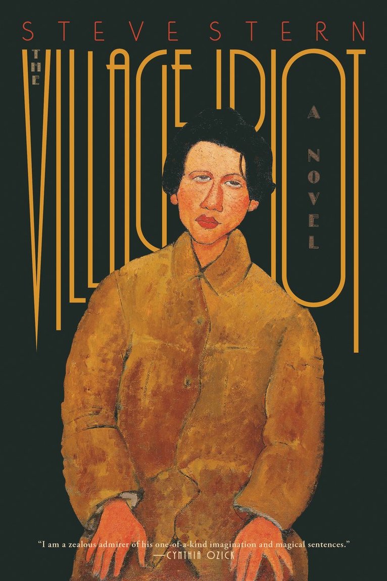 Steve Stern - Village Idiot, Inbunden